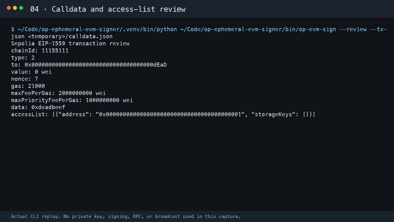 Calldata and access-list review output